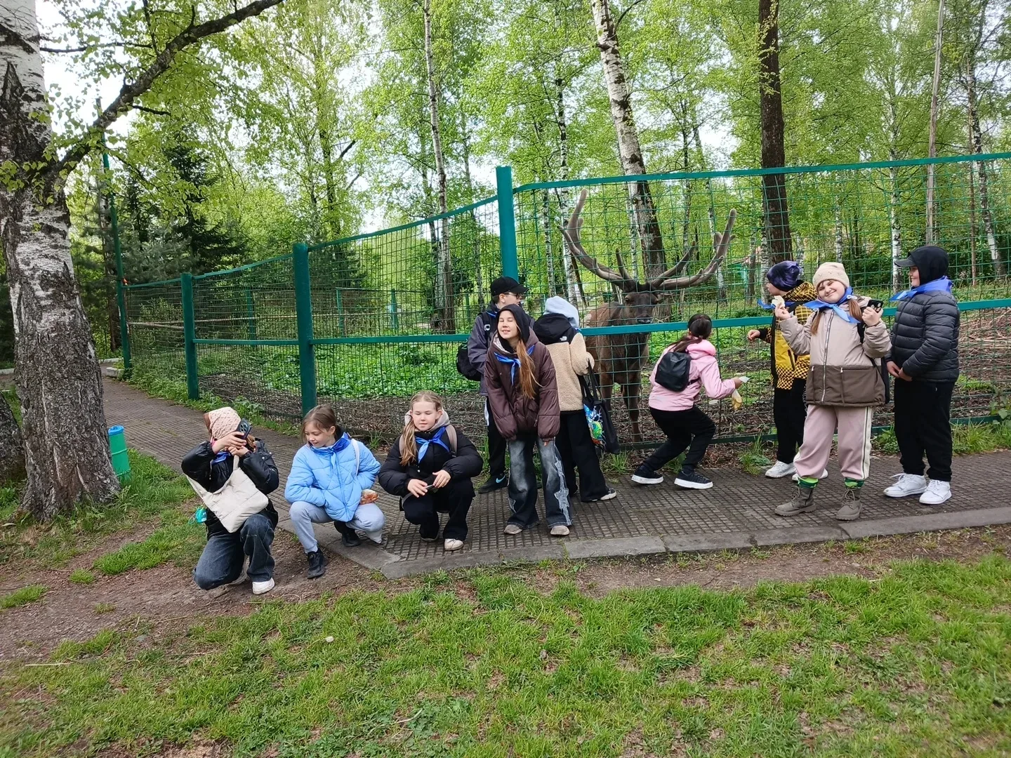 Восторг, удивление и море открытий: как 4В покорил квест «Мир заповедной природы»  Вчера наш 4В клас