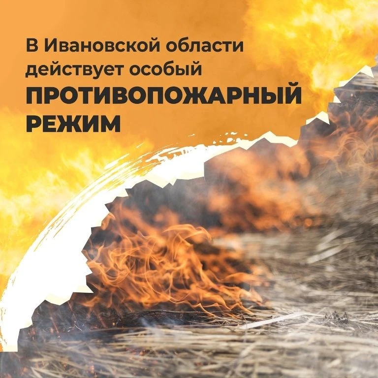 С 28 сентября 2026 года в лесах и на торфяниках Ивановской области по указу губернатора...
