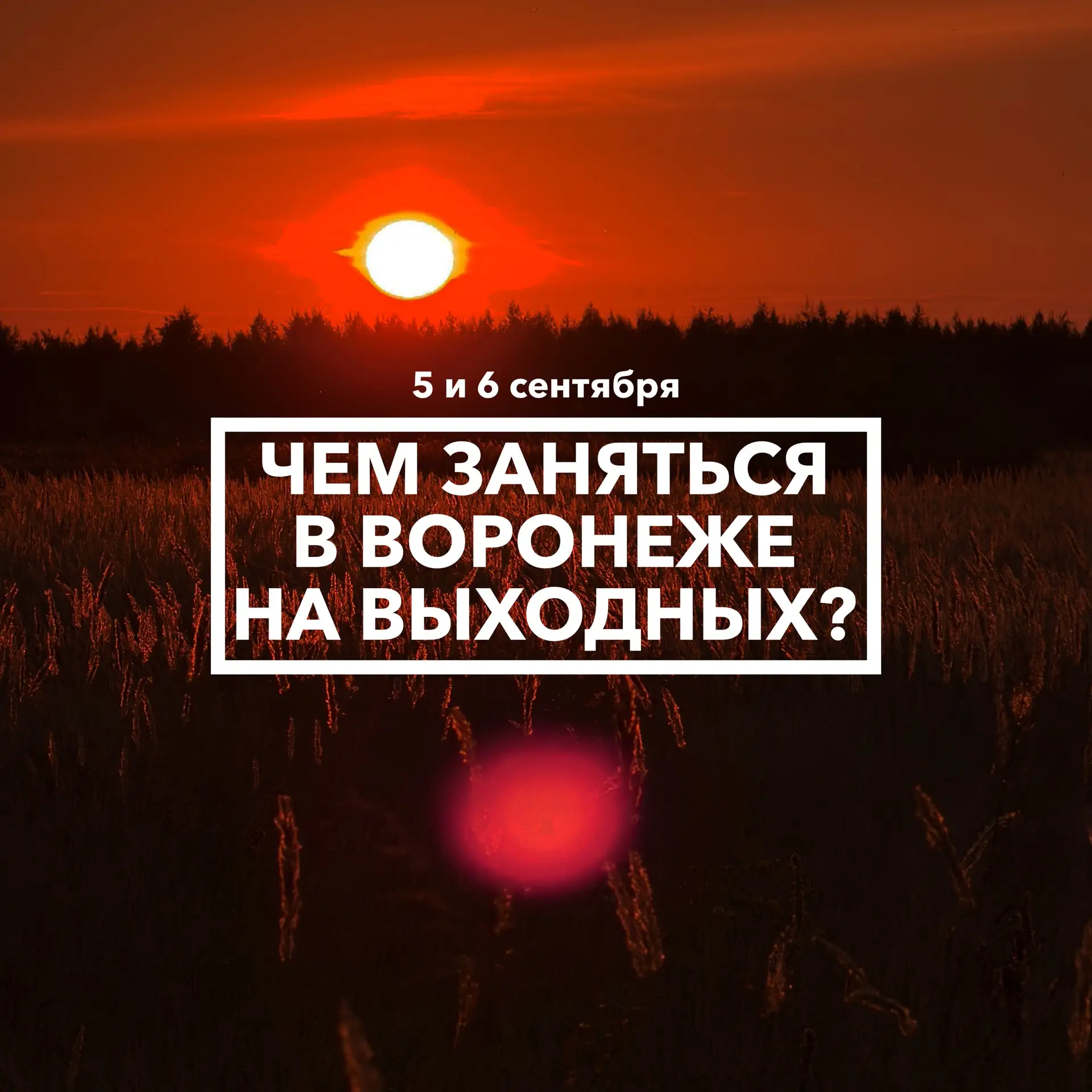 Дайджест событий в Воронеже на выходных 5 и 6 сентября 🌱