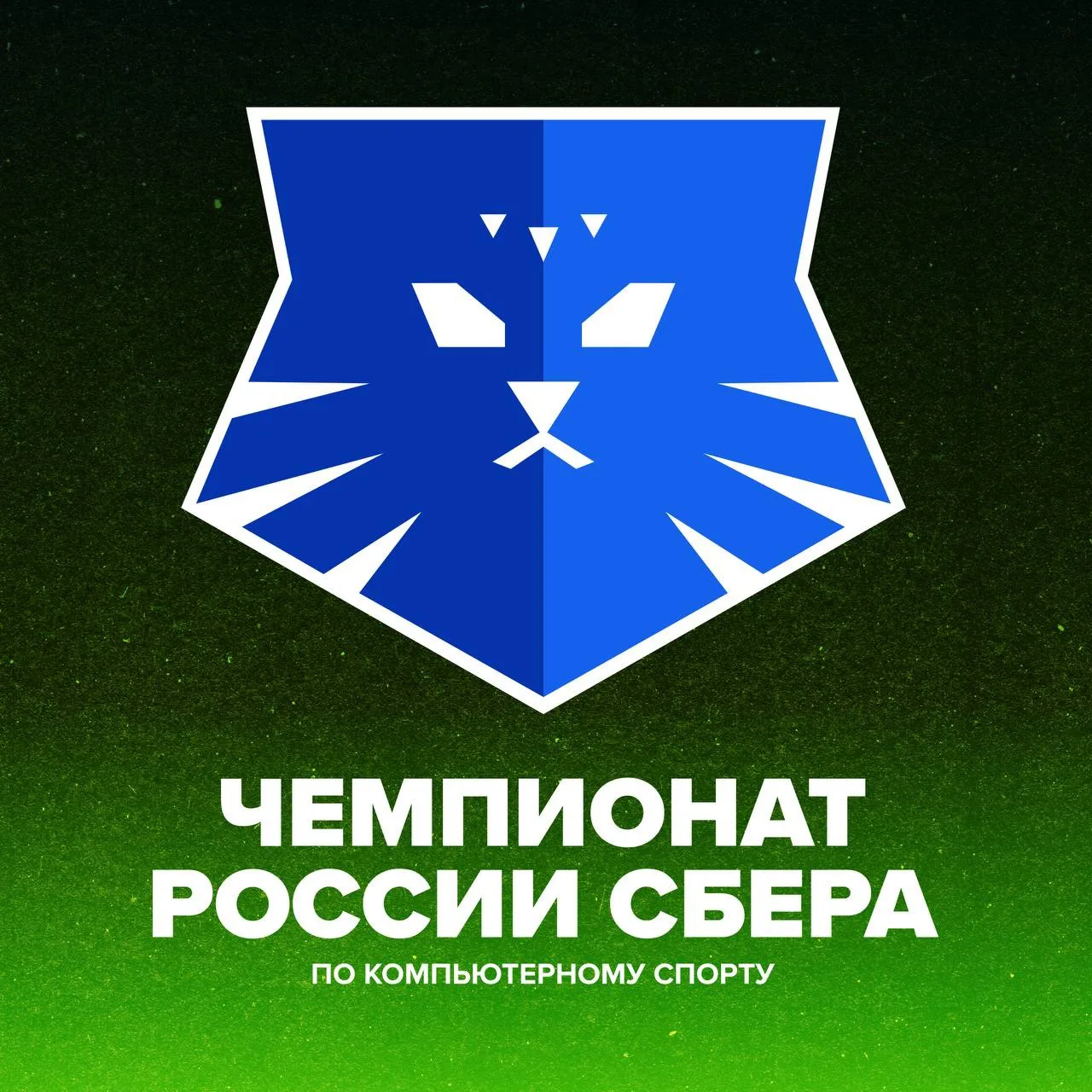 🤔 Что случилось на прошедших входных? 

ФИНАЛ ЧЕМПИОНАТА 
РОССИИ СБЕРА 
ПО КИБЕРСПОРТУ, 
НАПРИМЕР


