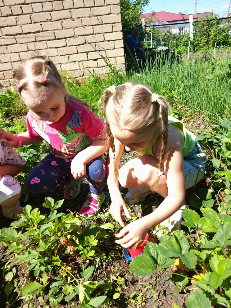 Солнечным☀️ летним днём дети решили отправиться на сбор ягод🍓🍓🍓 в огород детского сада. Воздух бы