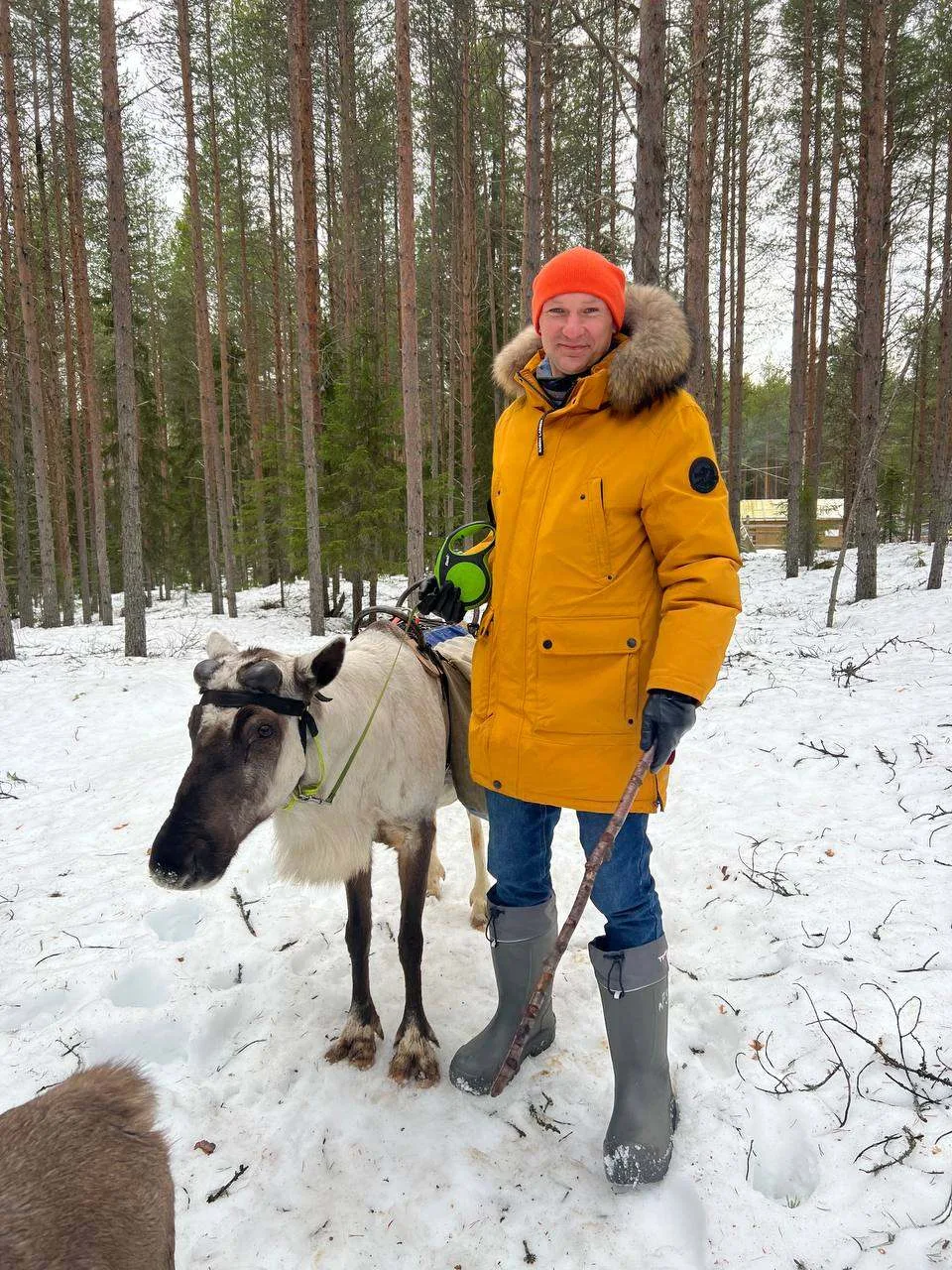 Выгуляли северных оленей, как домашних питомцев...  🦌 Колоссальный опыт общения с самыми настоящими 