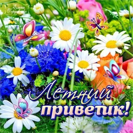 Список качественных каналов в МАКС | Смотреть ❤️