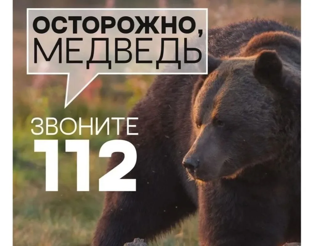 ❗‼Экстренное предупреждение для жителей Айхала.