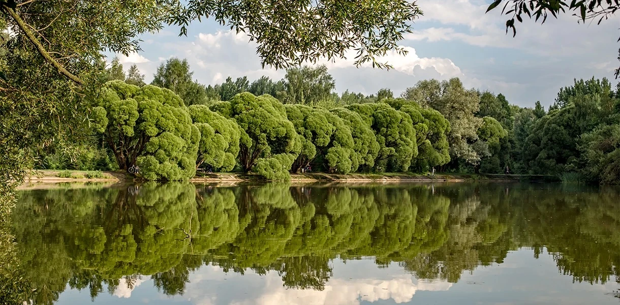 🌳 Лето в Москве

Измайловский парк — место, где интересно всей семье

Один из крупнейших парков сто