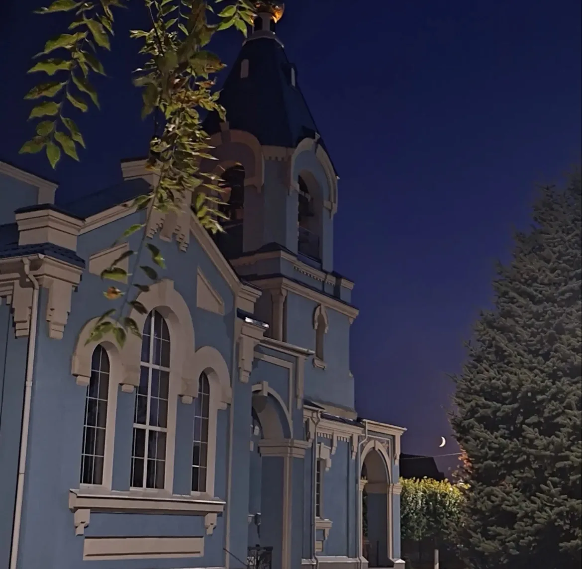 Доброй ночи ✨🌙