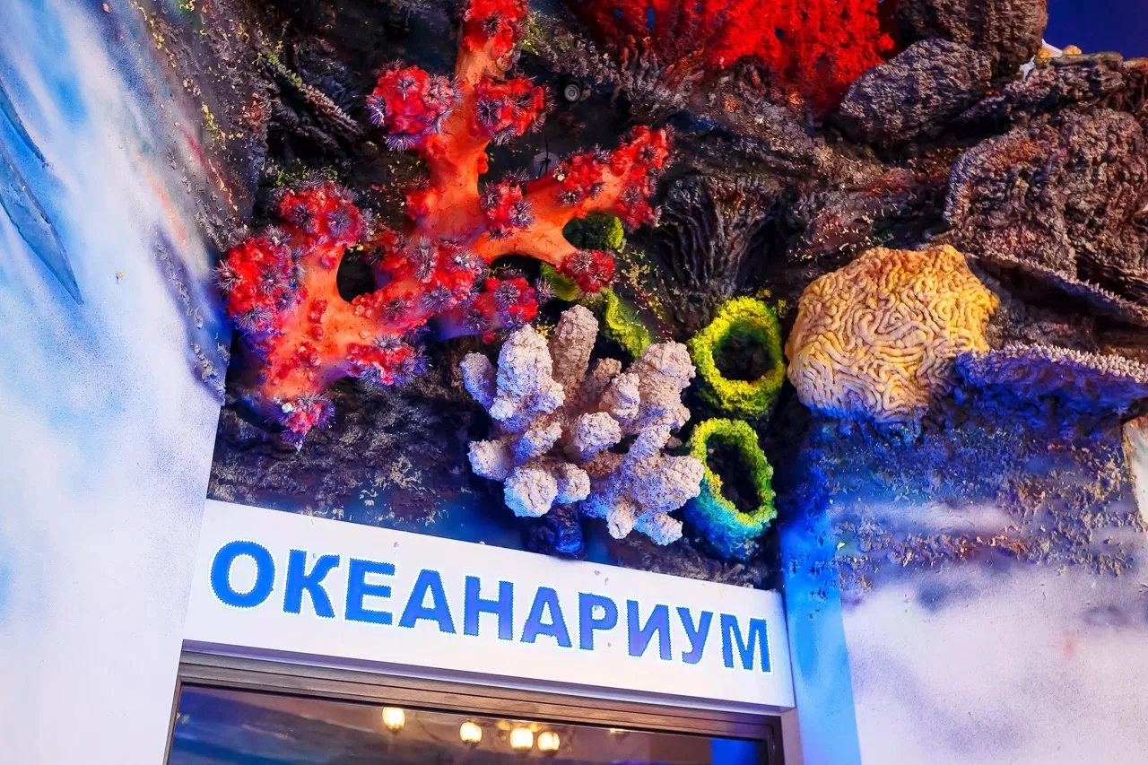 🌊 Каникулы с пользой – ярко, интересно и с новыми впечатлениями

Молодёжь Краснодара посетила океан