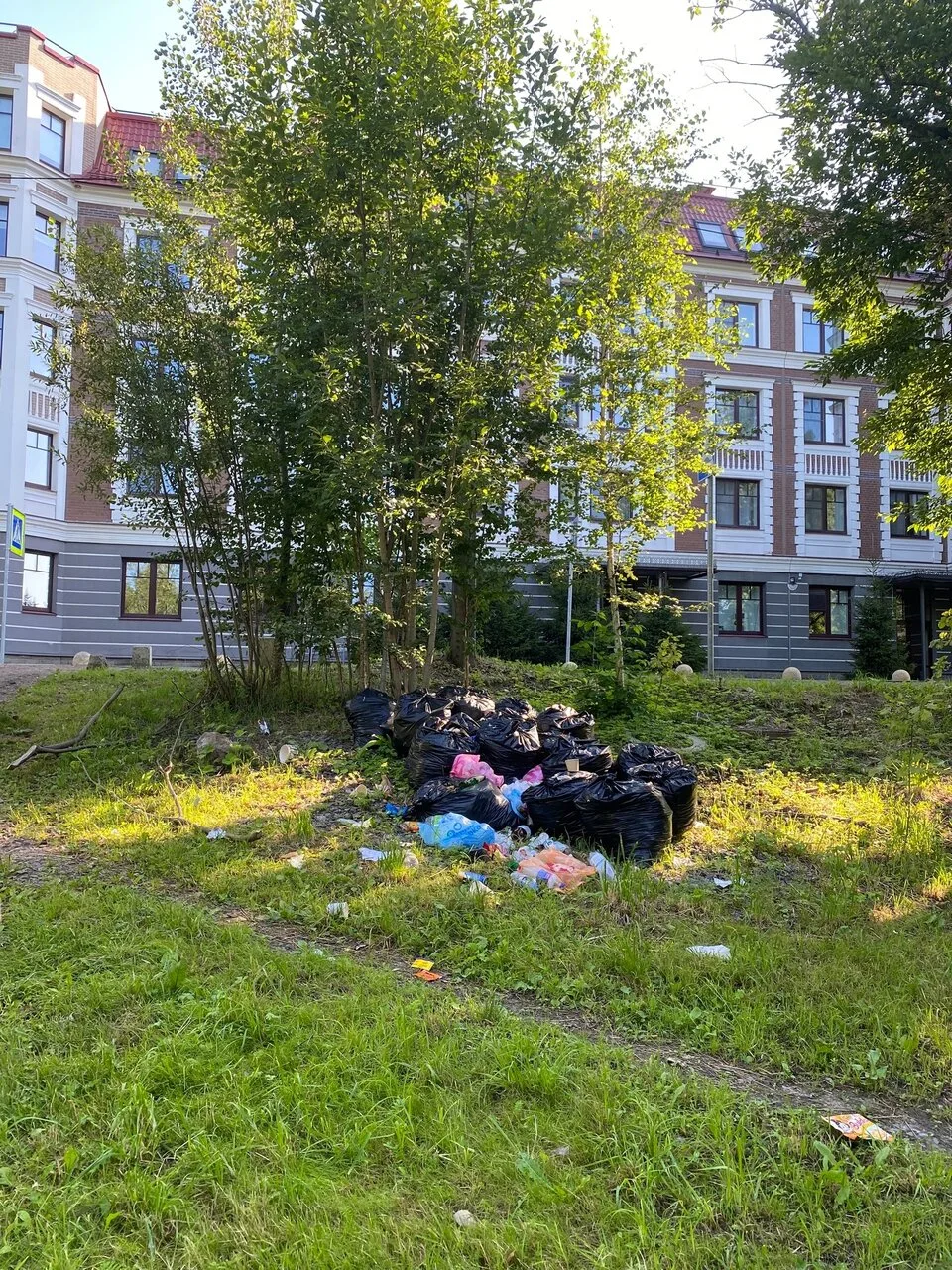 Мусор в зеленой зоне на 1-й Никитинской неделями не вывозят