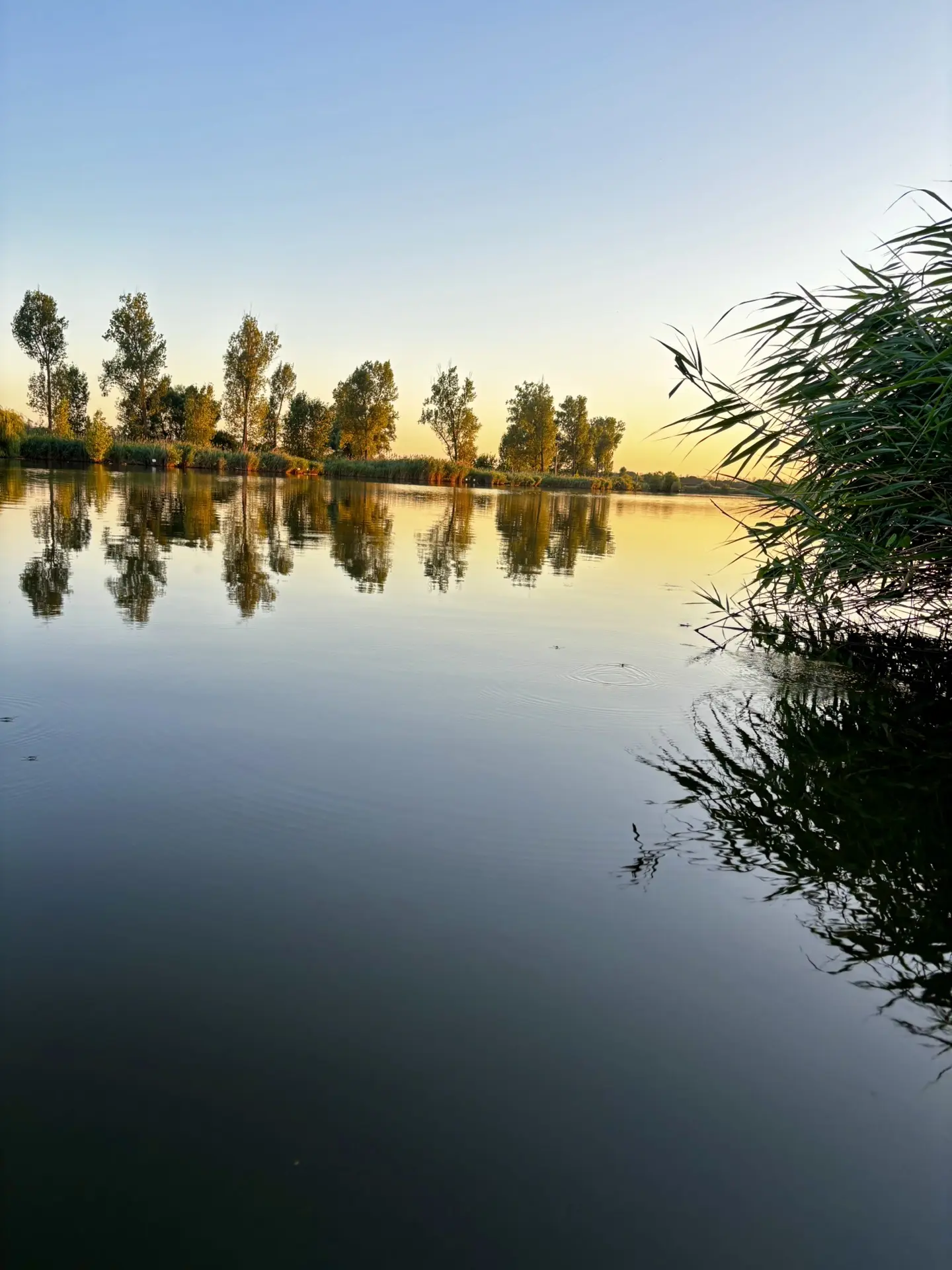 🎣 выезд с 21.09 по 23.09 . РСК «МАЛЕВАННЫЙ» - водоем , который я искал