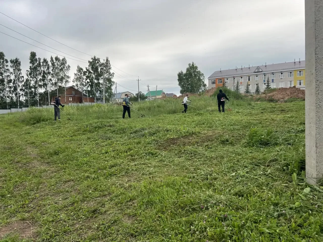 Хезмәт тәрбиясе кысаларында 4 көн мәктәп бакчасында чүп үләне чапкан 7-в сыйныф укучылары: Хөсәинов 