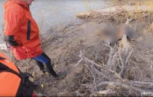 ❗️ Во время сплава по реке Иняк в Башкирии турист нашёл труп

Путешественник Бен Амирханов рассказал