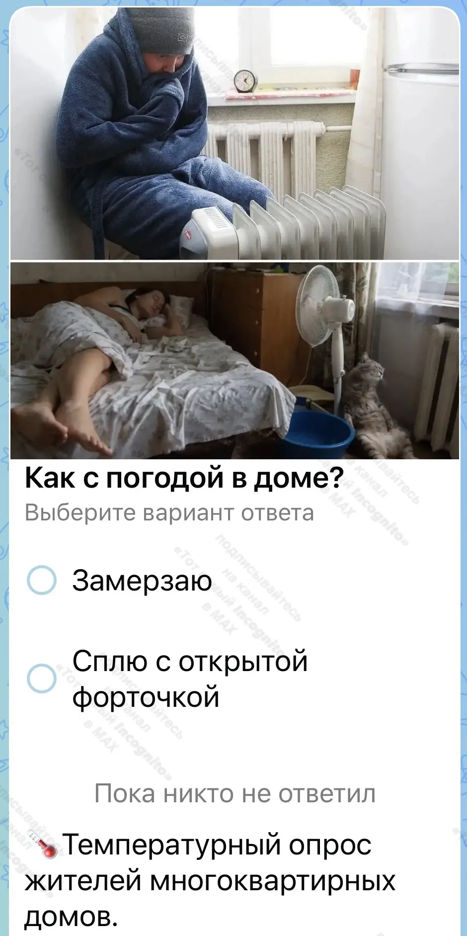 ❗️Функция «опрос» в национальном мессенджере — полное гвн