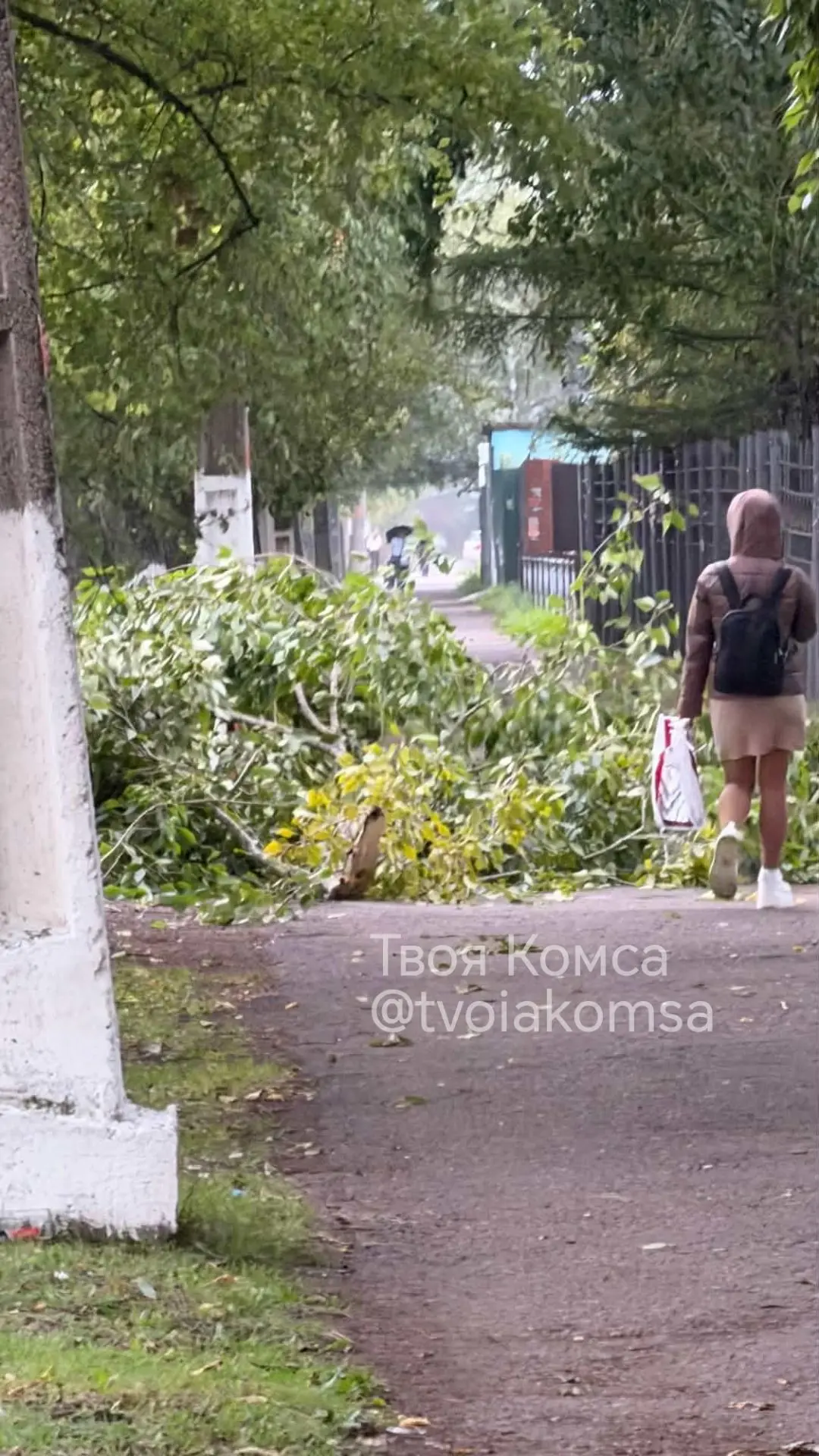 Ехала на велике в районе Пирогова "Железнодорожной больницы" в 17:23, мне на голову чут...