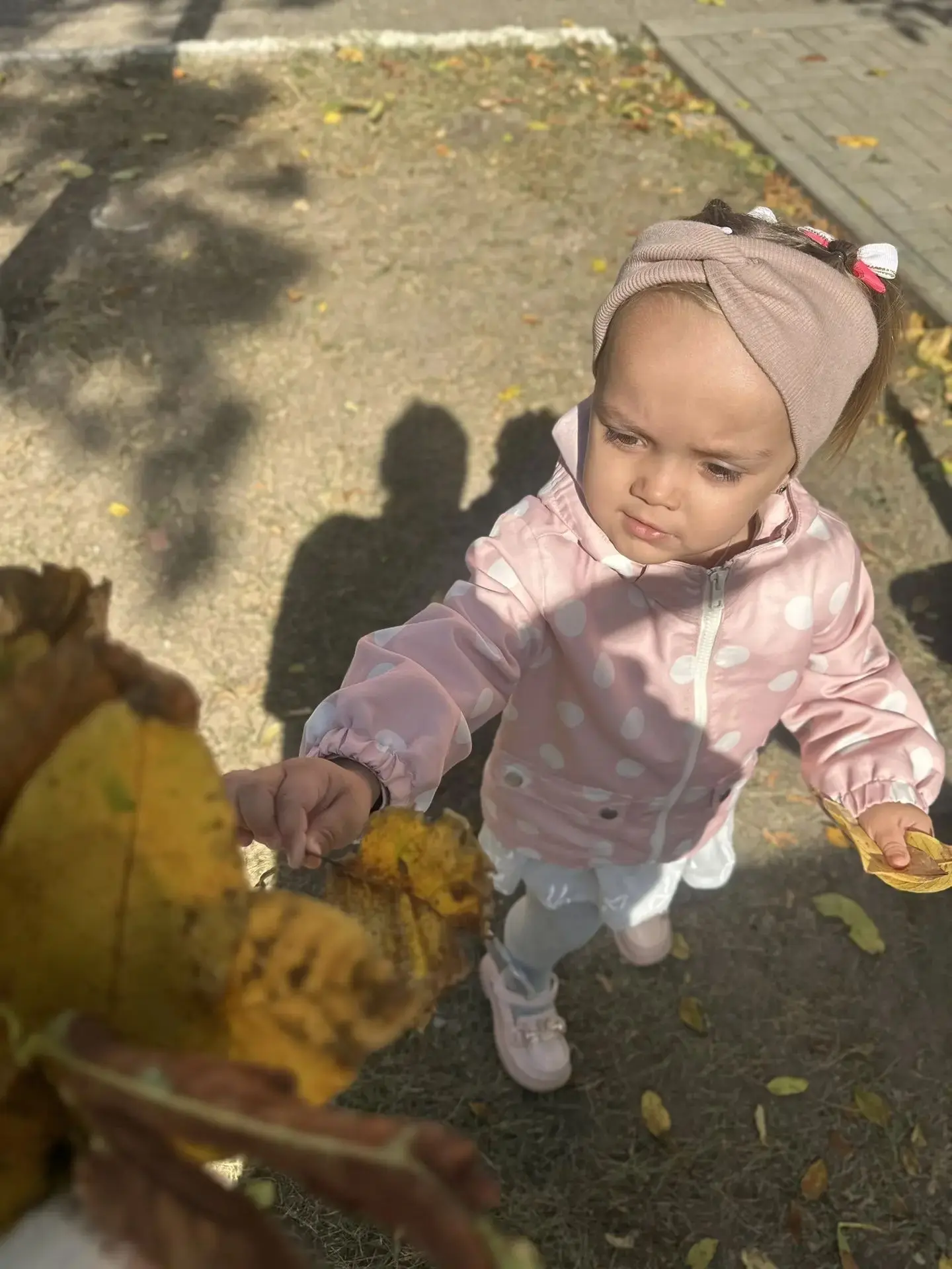 🍁Золотая осень в ладошках🍂