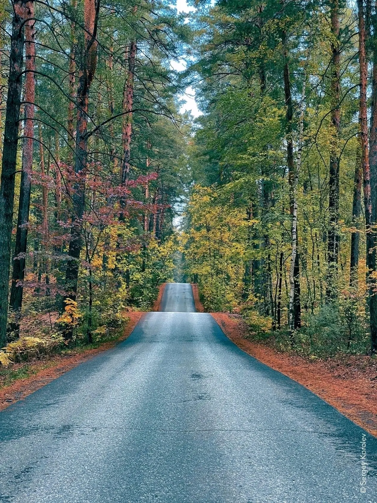 🍂 Куда поехать из Казани за осенним лесом