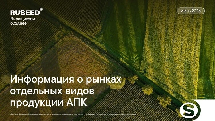 Ключевые тренды мирового рынка зерна и масличных культур (июнь 2026 года)