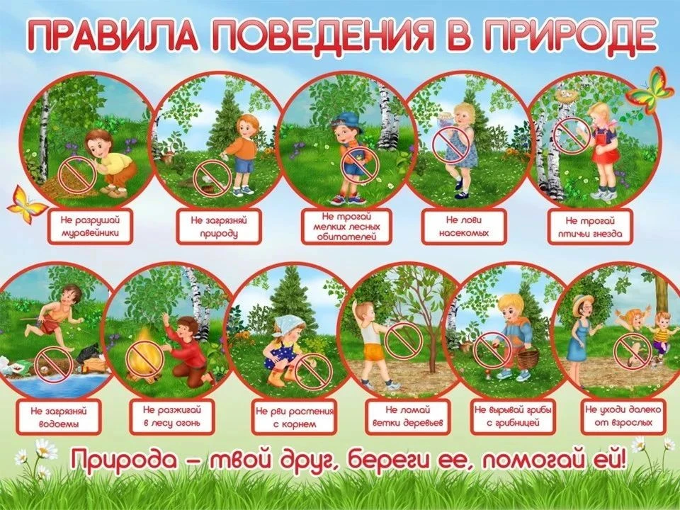 Быть гостем, а не стихийным бедствием: 7 правил поведения на природе

Каждые выходные тысячи людей е