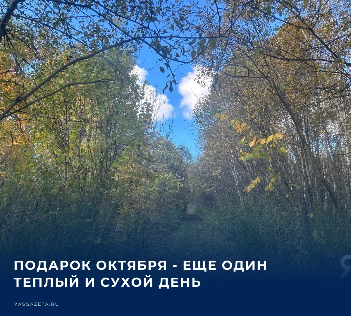 ☁️ По прогнозам синоптиков,7 октября - облачно с прояснением, преимущественно без осадк...