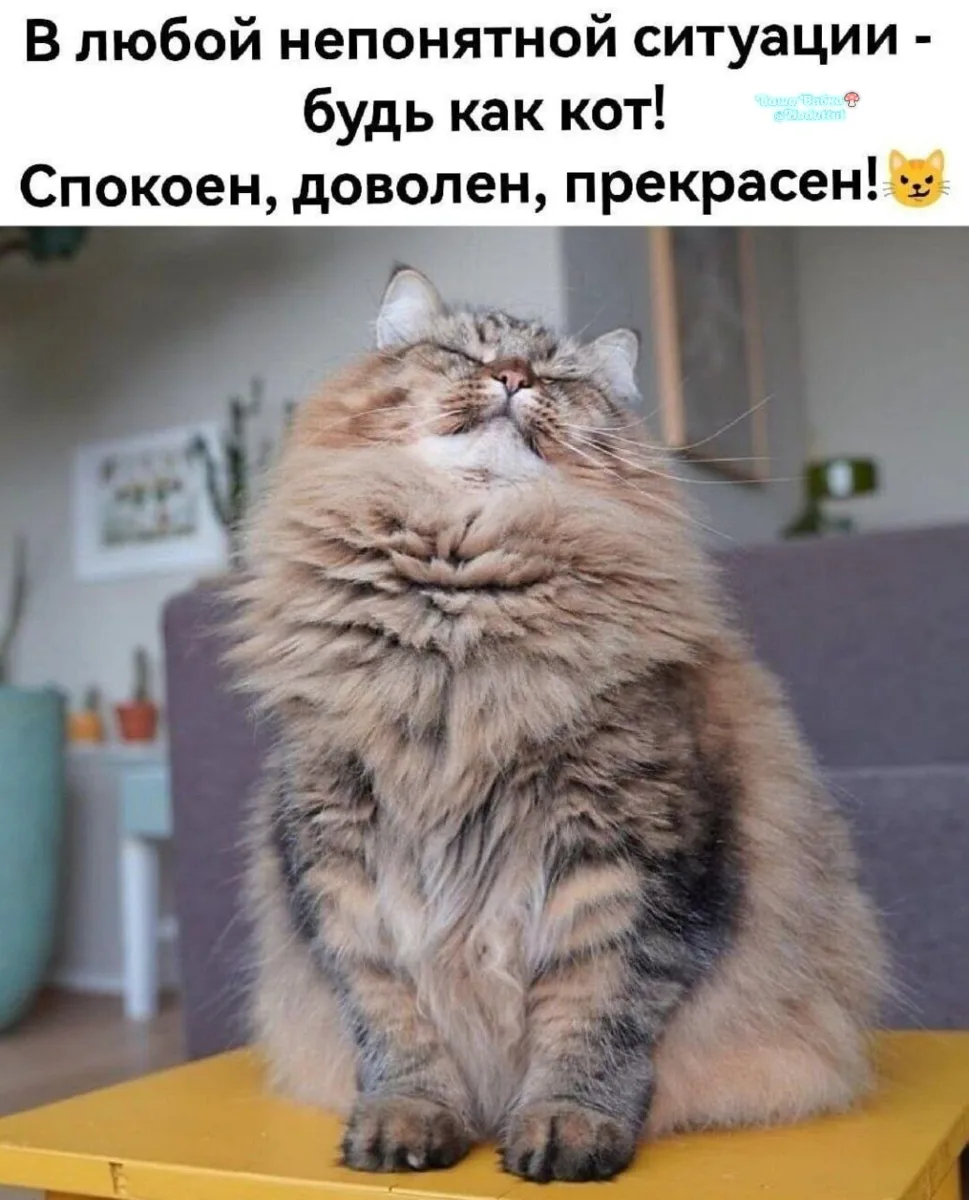 Стараемся😇