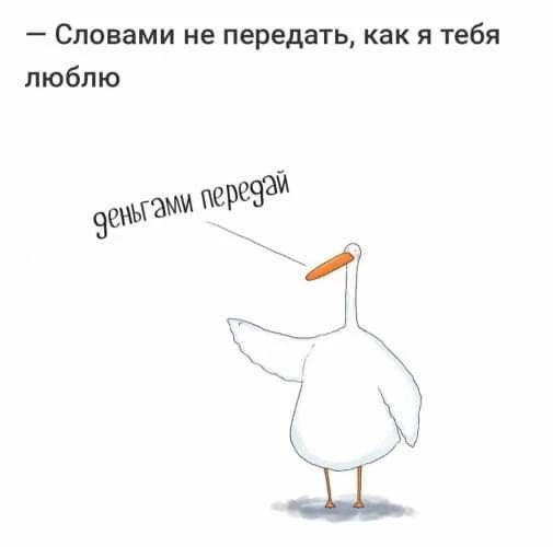 Подпишись, чтобы не потерять👇
