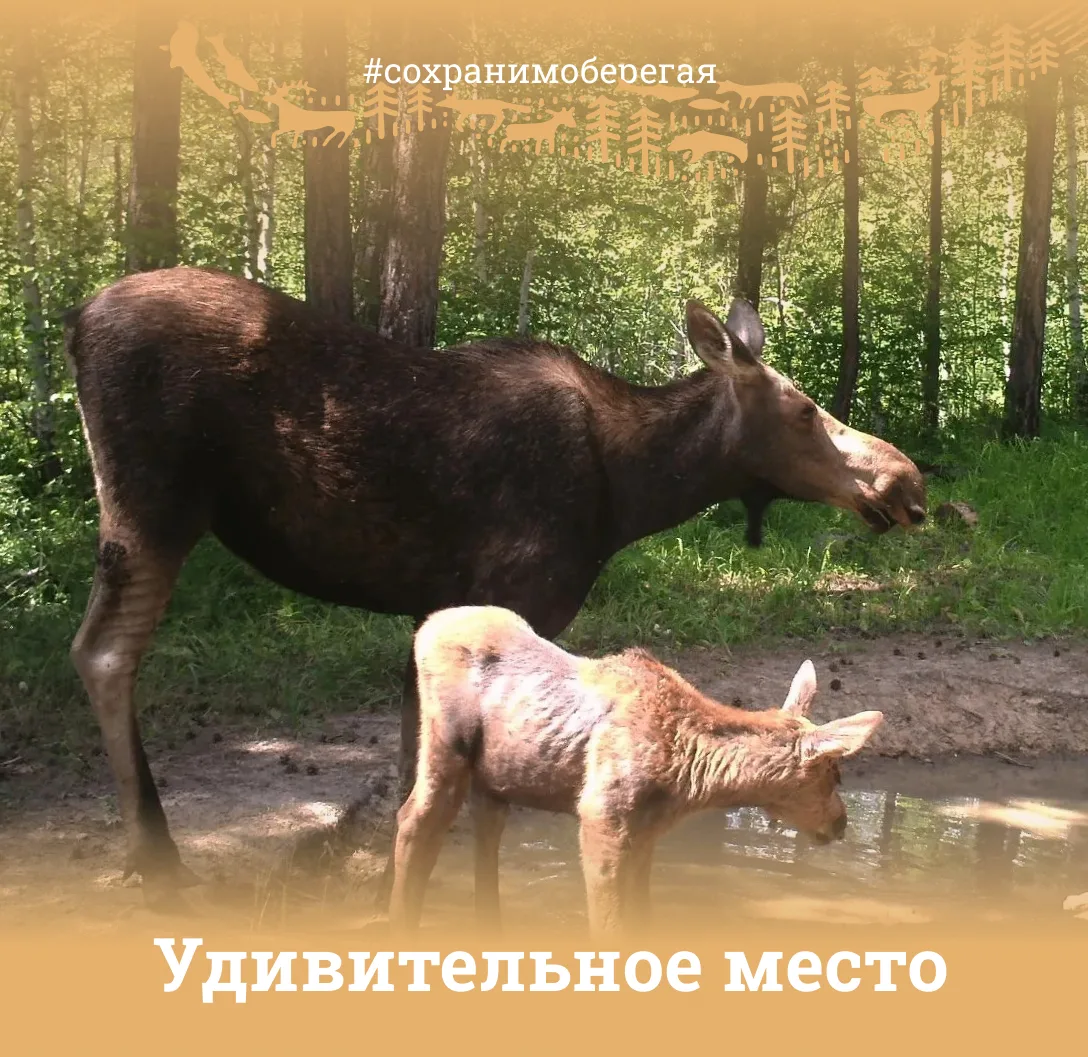 УДИВИТЕЛЬНОЕ МЕСТО