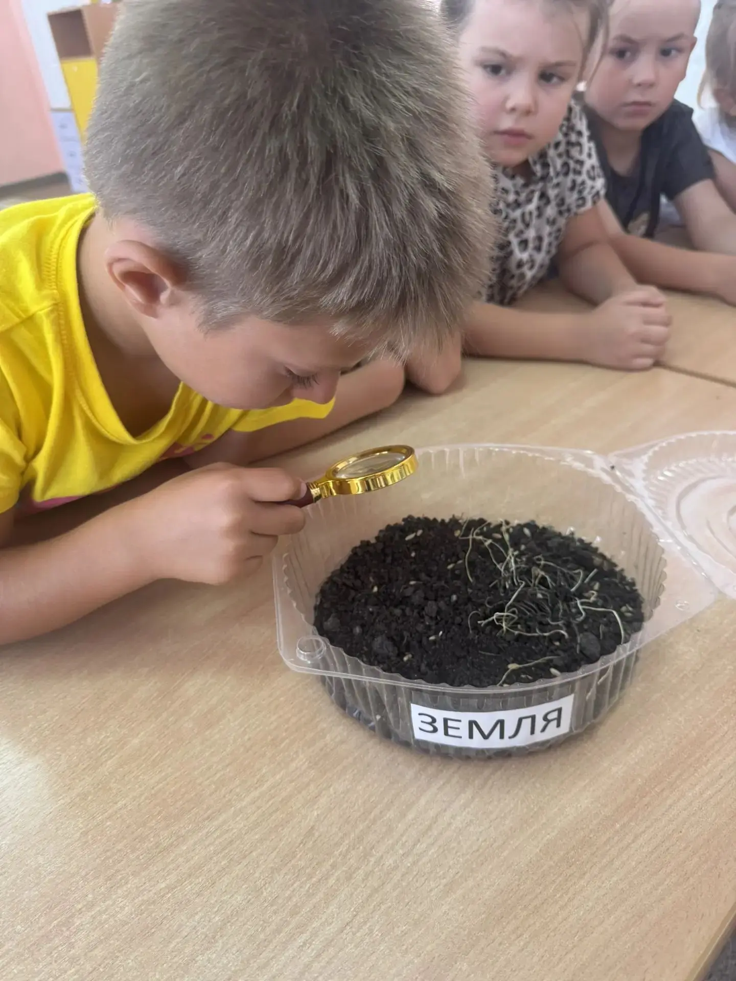 В ДОУ прошла неделя, которая была посвящена изучению почвы 🌱

Воспитанники изучали свойства почвы, 