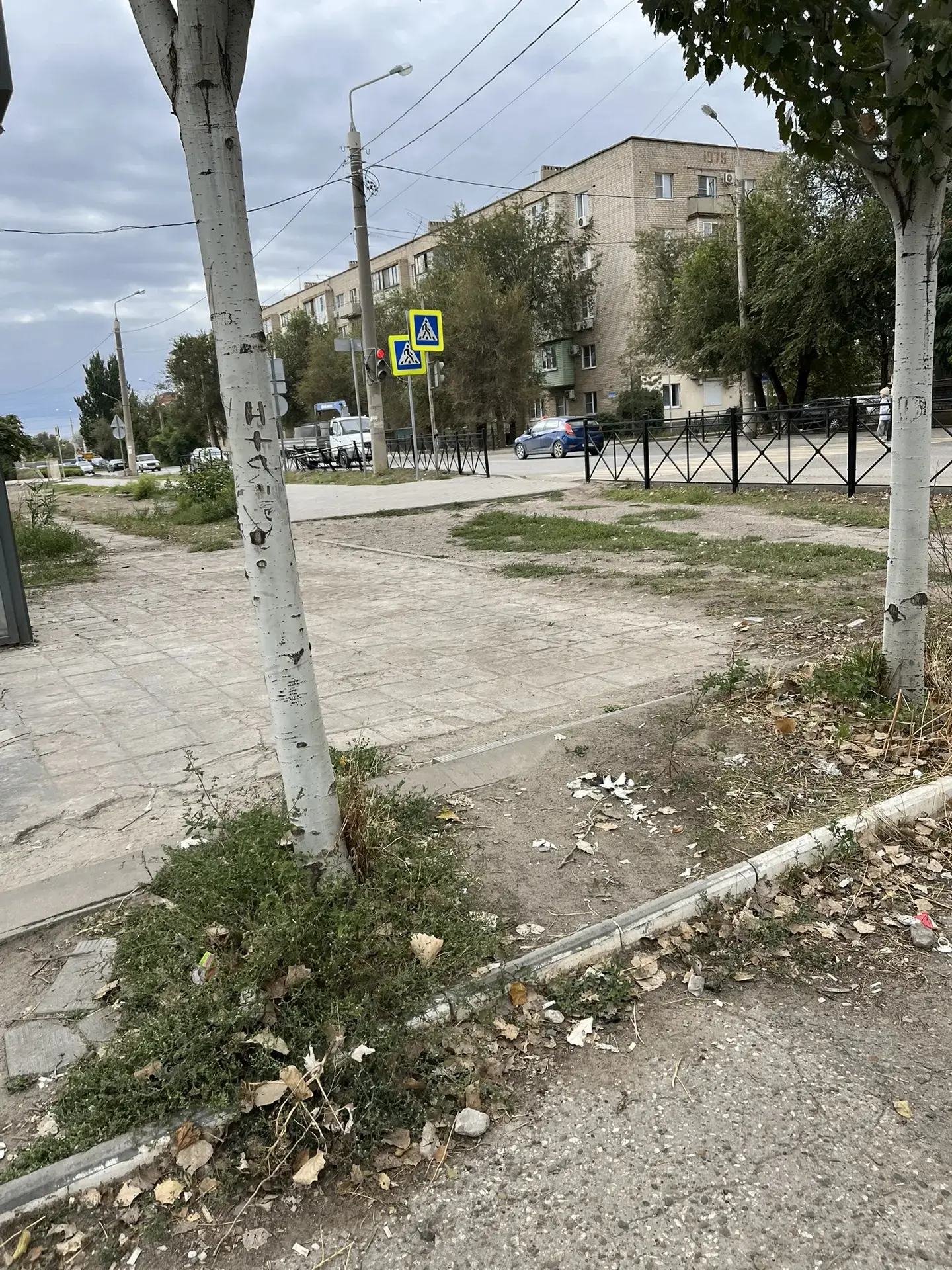 🚦 Знаков много, толку мало