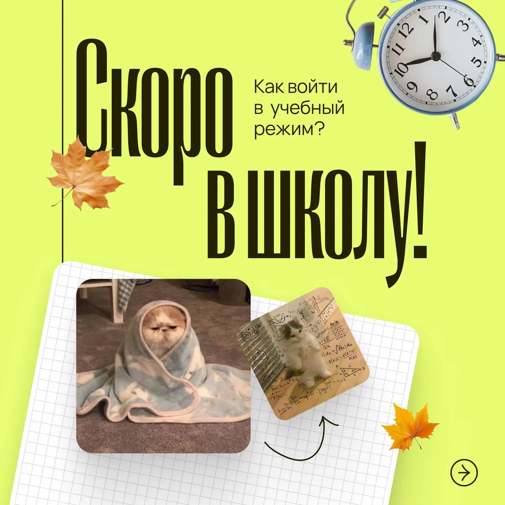 Сентябрь к нам уже потихоньку крадётся, а значит, самое время — начать готовиться к осени.