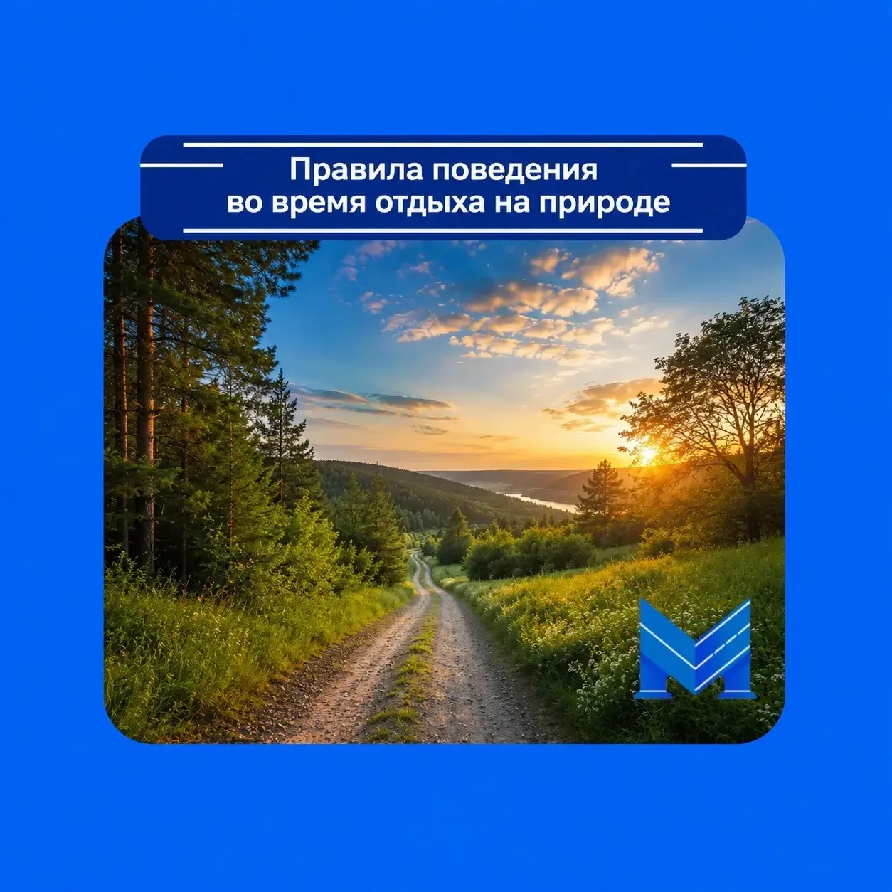 🌿 Правила поведения на природе 🌳