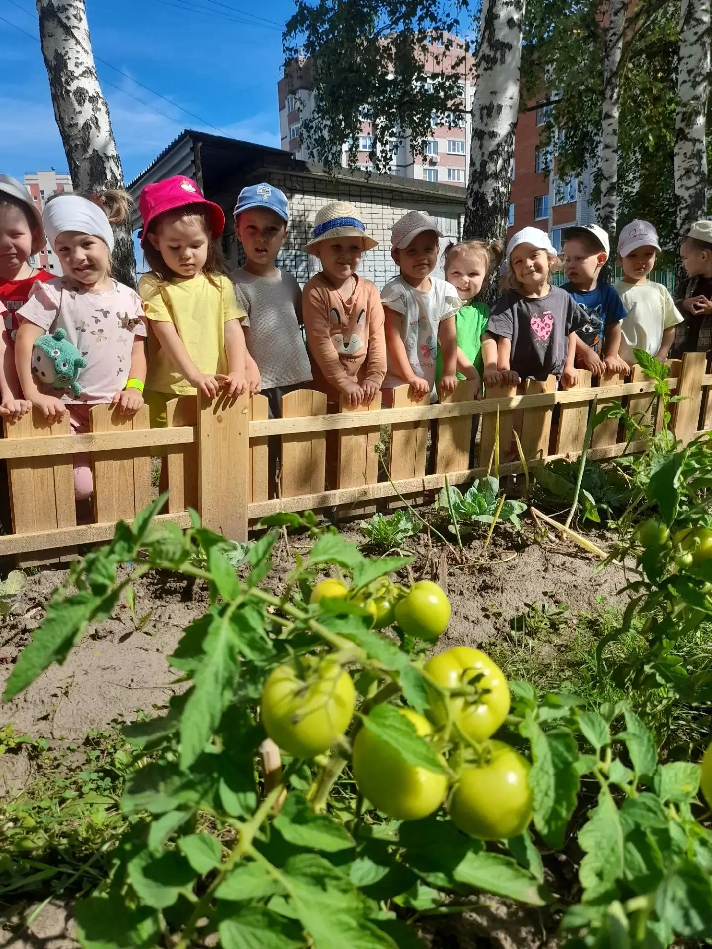 🍅 Наш маленький огород: наблюдаем и удивляемся! 🥒