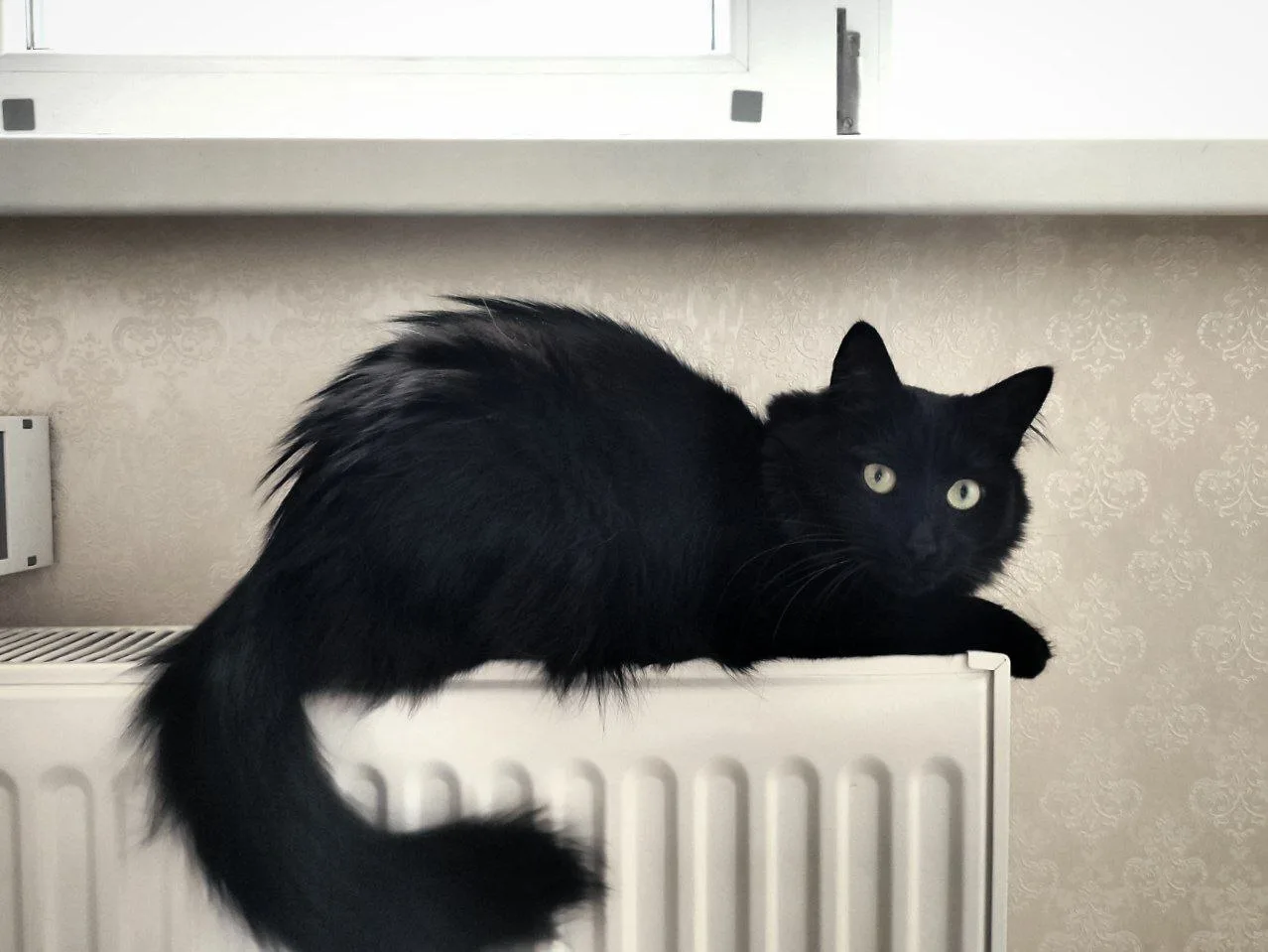 Начало отопительного сезона на Ставрополье обсудили в правительстве края