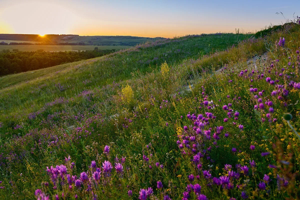 Доброе утро, дорогие ононцы! 🌿

Сегодня, среда  29 июля, и природа решила устроить нам настоящий ле