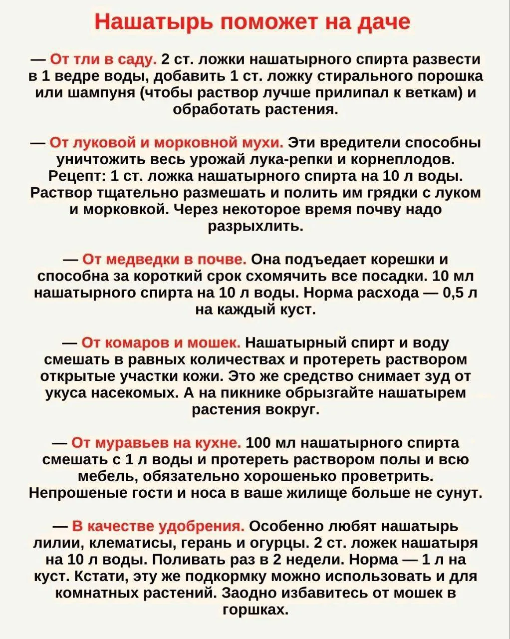Чем нашатырь может помочь на даче?👍