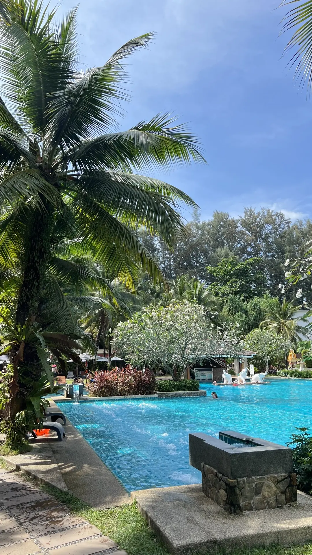 🌴Каникулы!