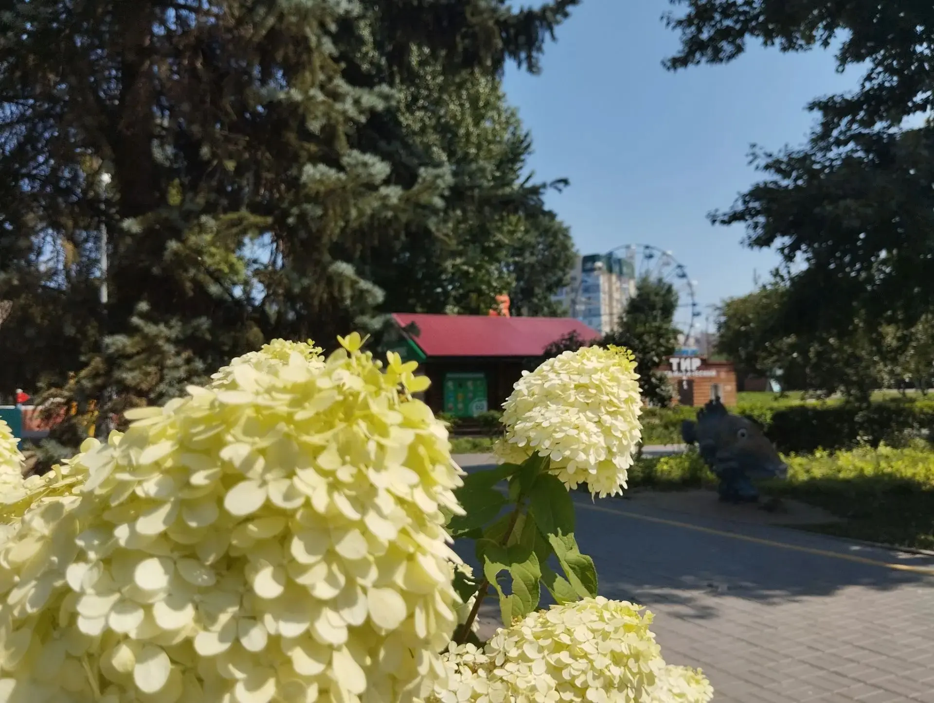 Цветы — это яркое украшение наших общественных территорий🌷