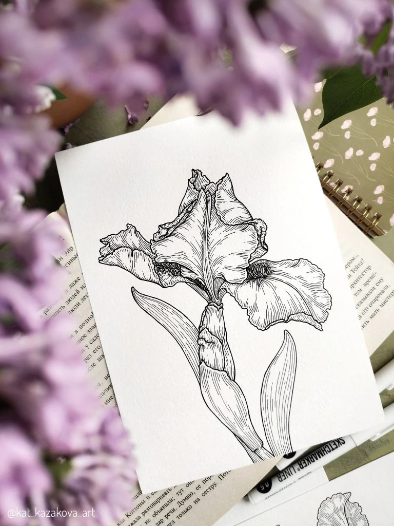 Мои любимые рисунки ирисов. Эти цветы мне нравятся даже в монохромном виде, тот случай, когда я не х