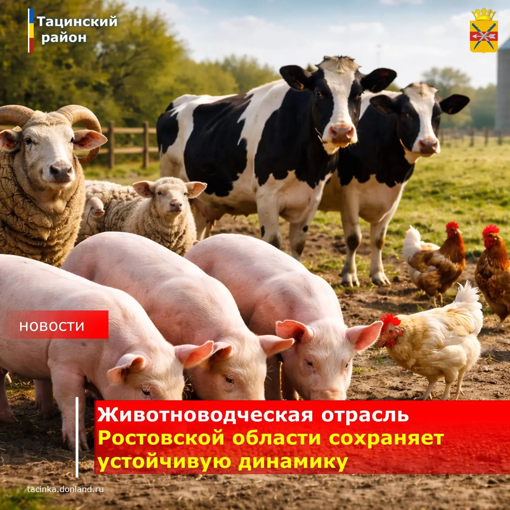🎉 Хорошие новости для аграриев и всех, кто ценит донские продукты!  🎉