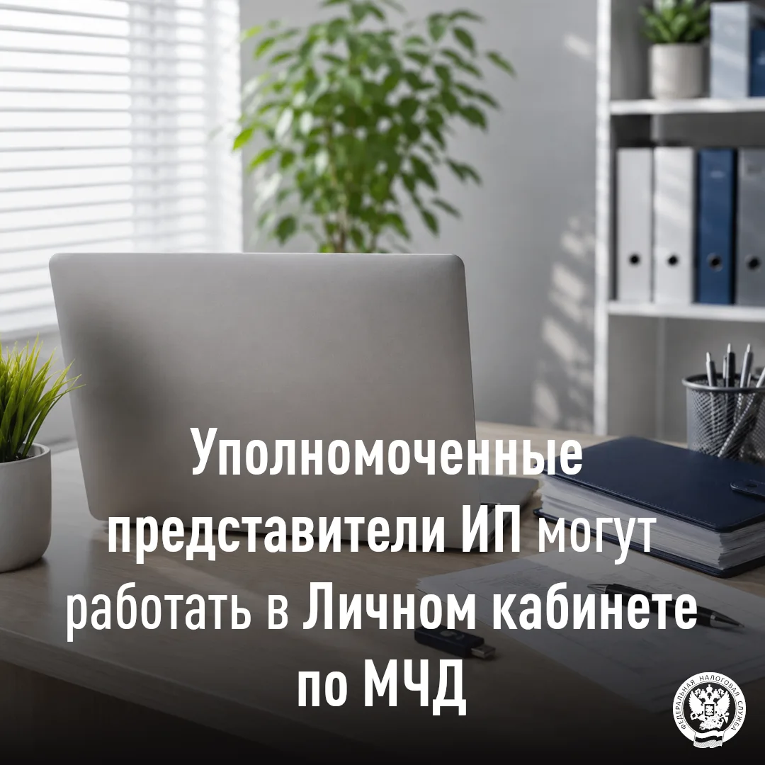 Уполномоченные представители ИП могут работать в «Личном кабинете налогоплательщика инд...