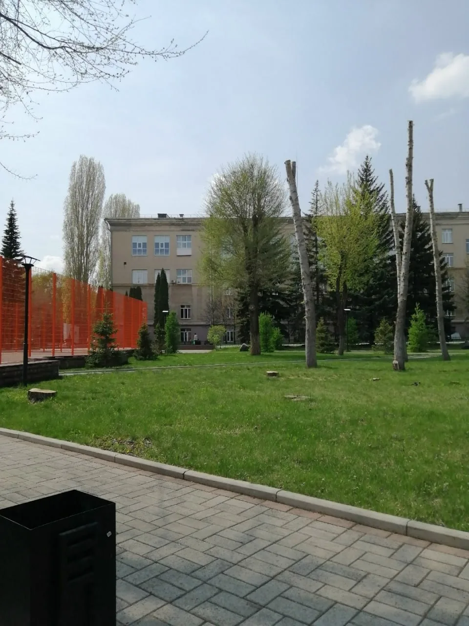 Магнитогорцы негодуют:  "Сквер Университетский. Поляну попилили, насчитал 15 пеньков. На срезе видно