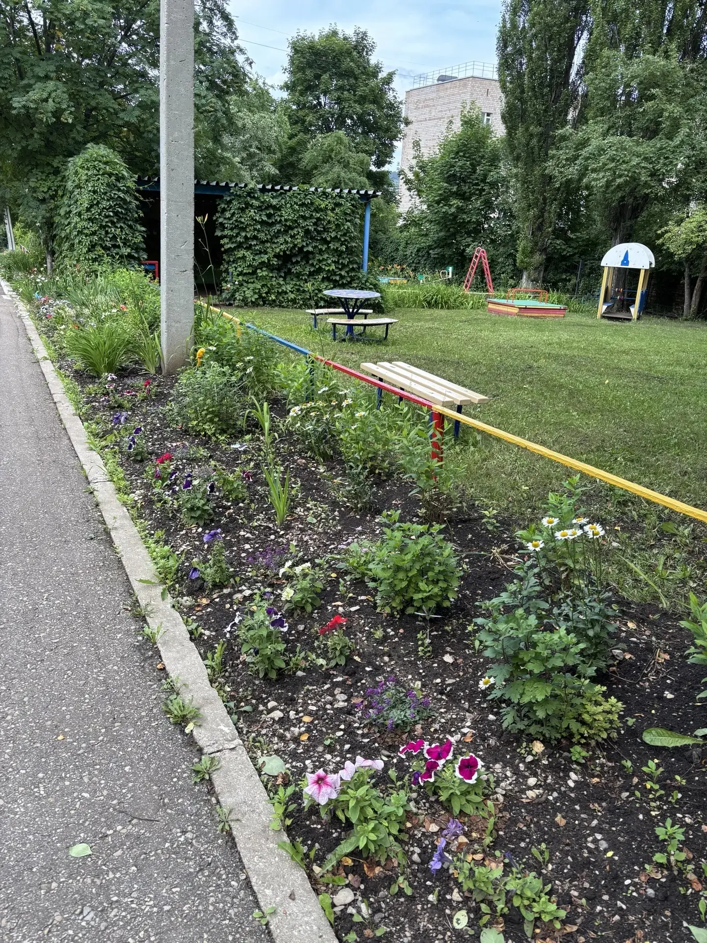 В "Васильках" тишина🦋🐝 и умиротворение🧚 слышно только пение птиц🦚🦜 и шум листвы🍀🍃
Воспитанник