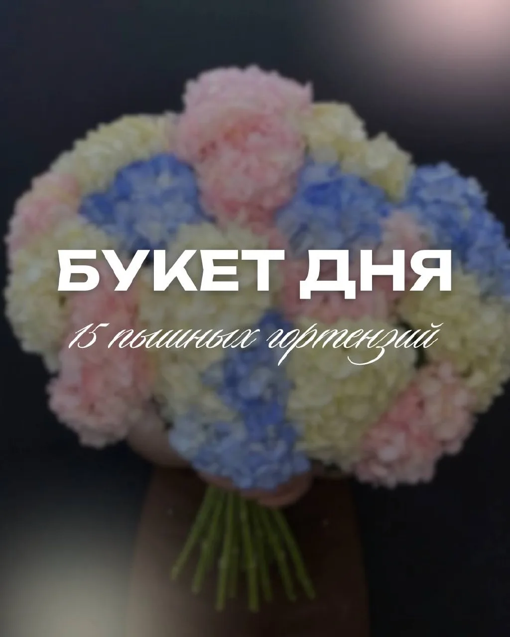 ✨БУКЕТ ДНЯ✨