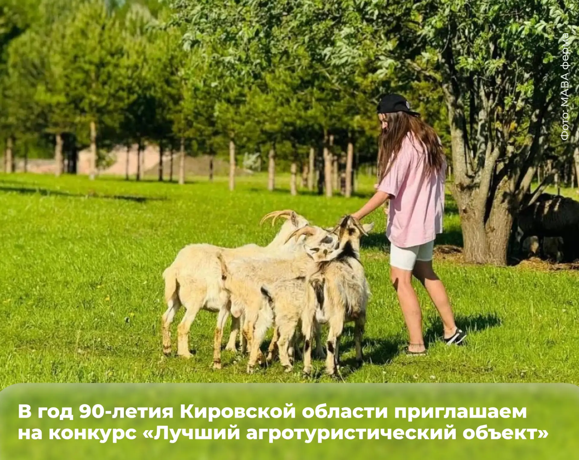 ☘ В год 90-летия Кировской области приглашаем на конкурс «Лучший агротуристический объект»