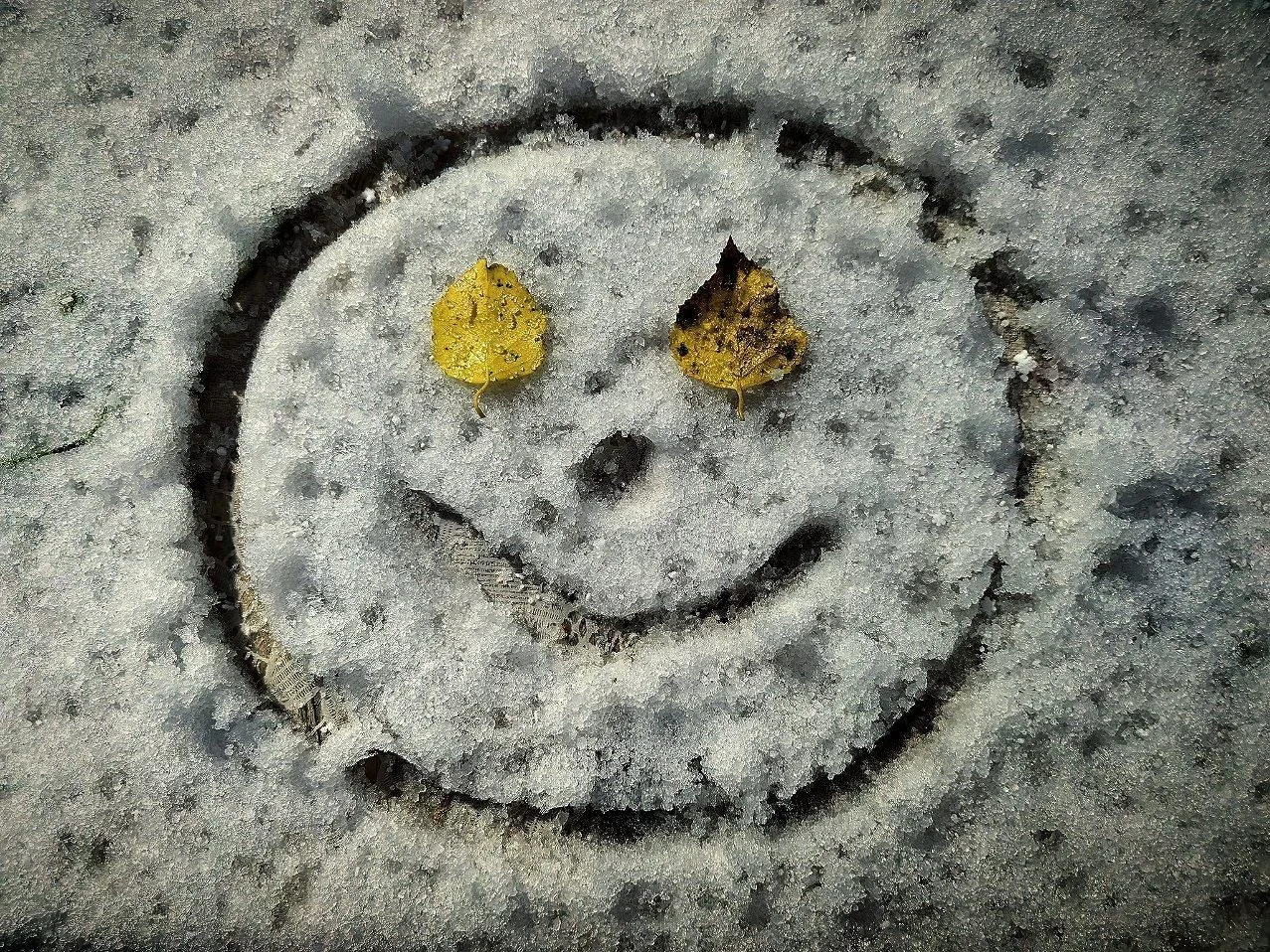🌨 Первый снег в Ульяновской области.