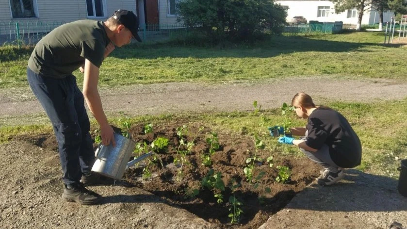 🌱🌸 НАЧАЛО БОЛЬШОГО ЦВЕТОЧНОГО ПРЕОБРАЖЕНИЯ! 🌸🌱