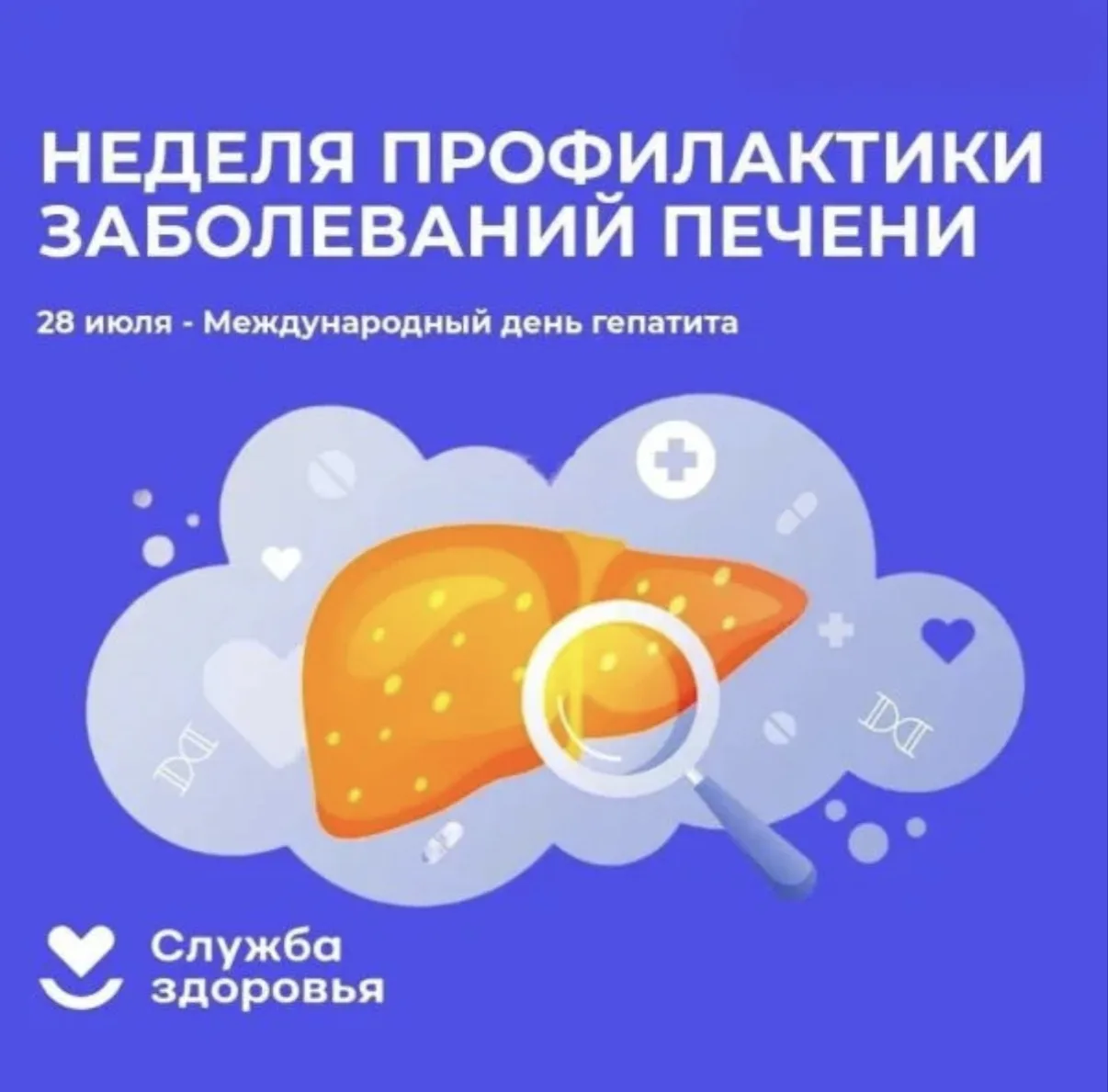 Печень — один из самых важных органов организма. Она участвует в более чем 500 жизненно важных функц