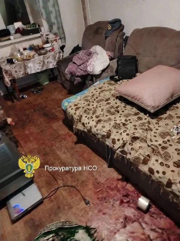 Житель региона обвиняется в убийстве и умышленном причинении средней тяжести вреда здор...
