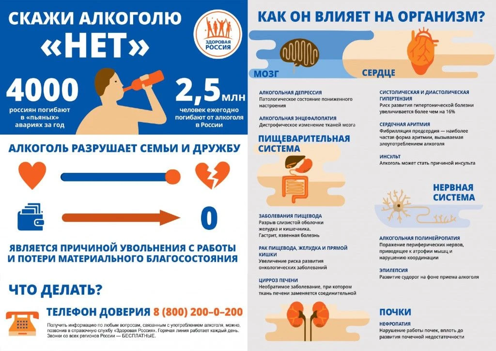 Алкоголь негативно влияет на многие системы организма: сердечно-сосудистую, нервную, пи...