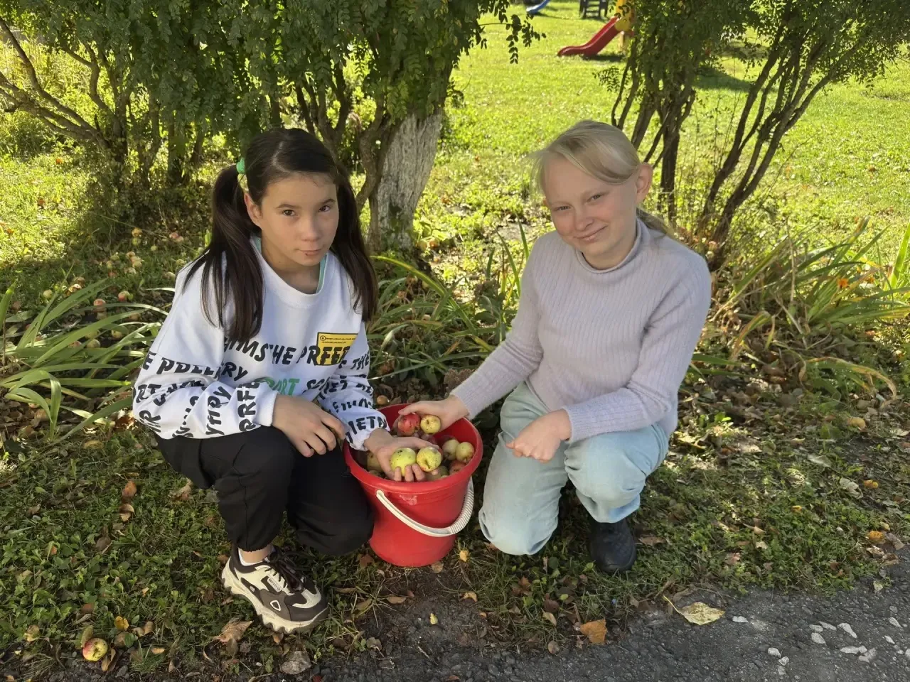 🍎Золотая пора — горячая пора! Успевай всё: и яблоки собирай, и сад в порядок приводи.
