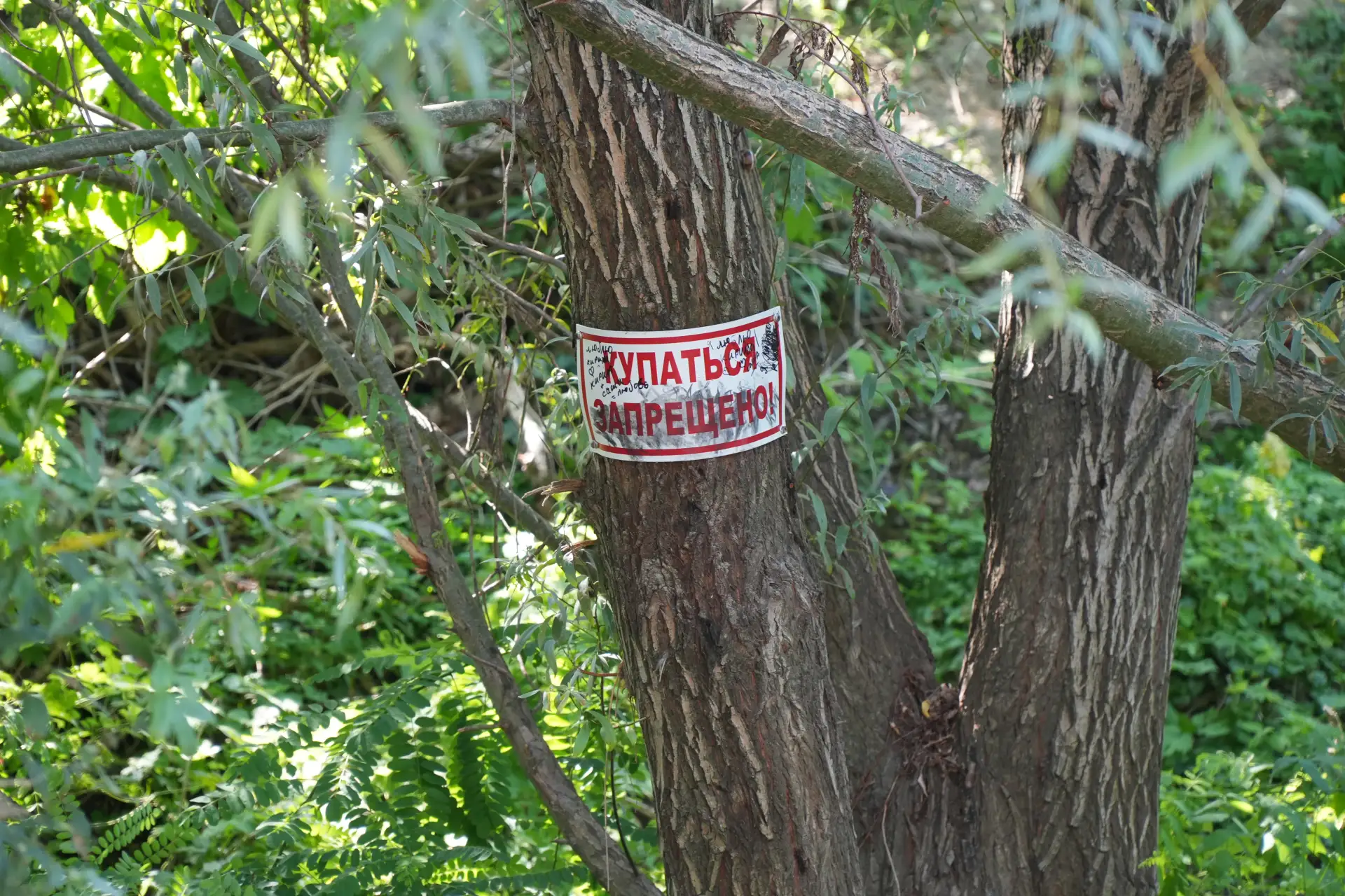 Купание запрещено!