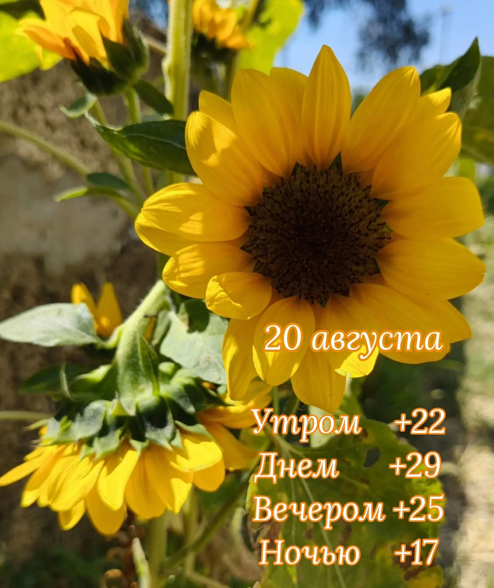 Доброе утро!